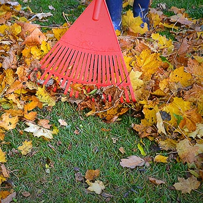 Hobart Lawn Mowing & Gardening Services