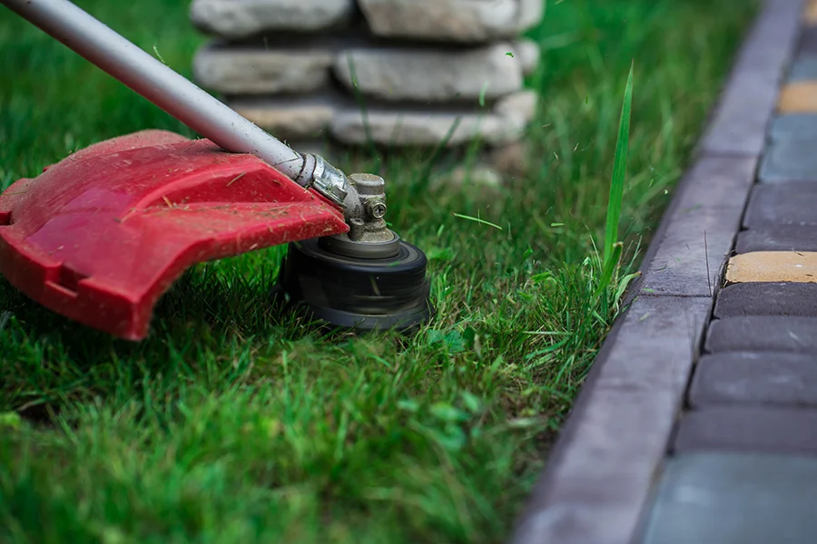 Gardening Services Lindisfarne