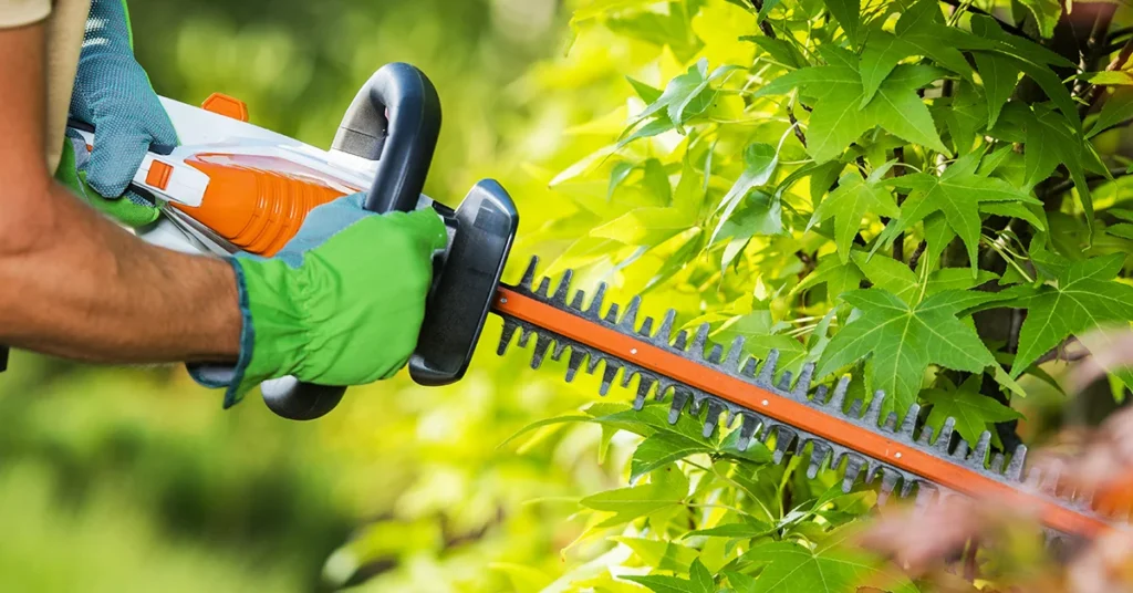 Gardening Services Mount Nelson Hedge Trimming