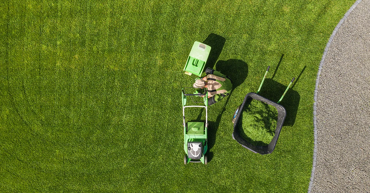 Gardening Services Lindisfarne