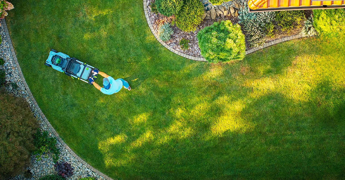 Gardening Services Bellerive