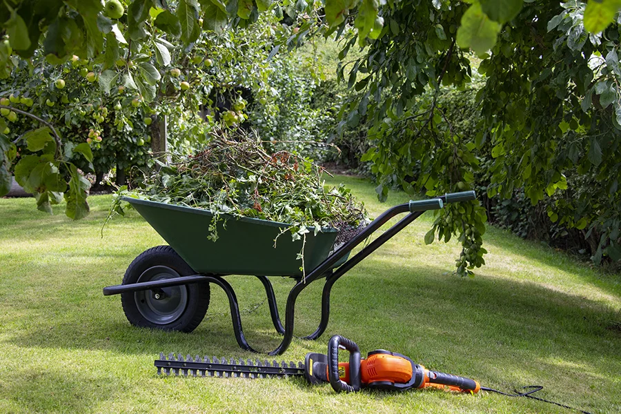 Gardening Services Kingston