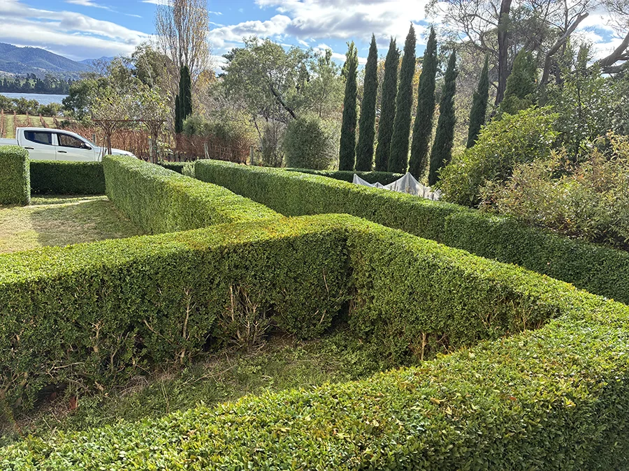 Gardening Services Kingston