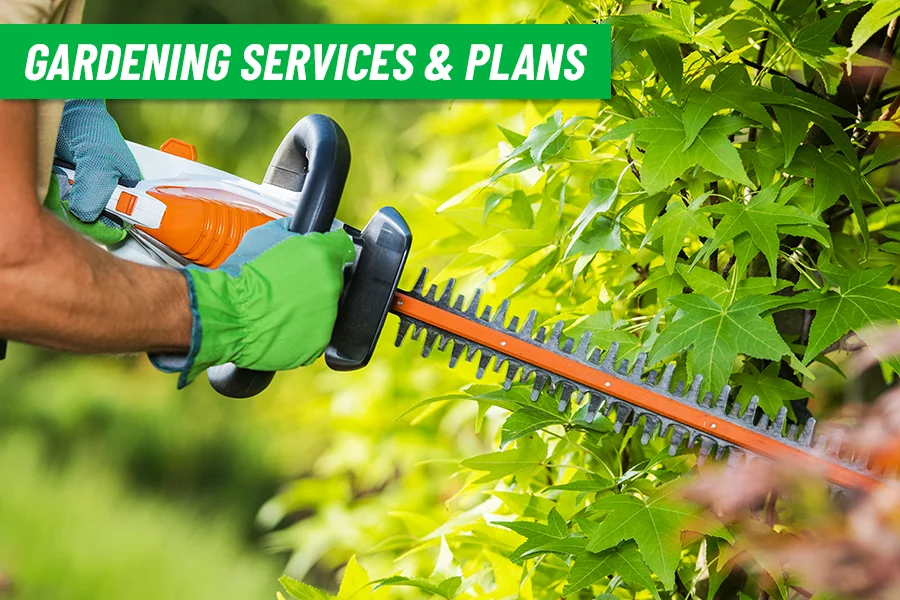 Gardening Services Kingston