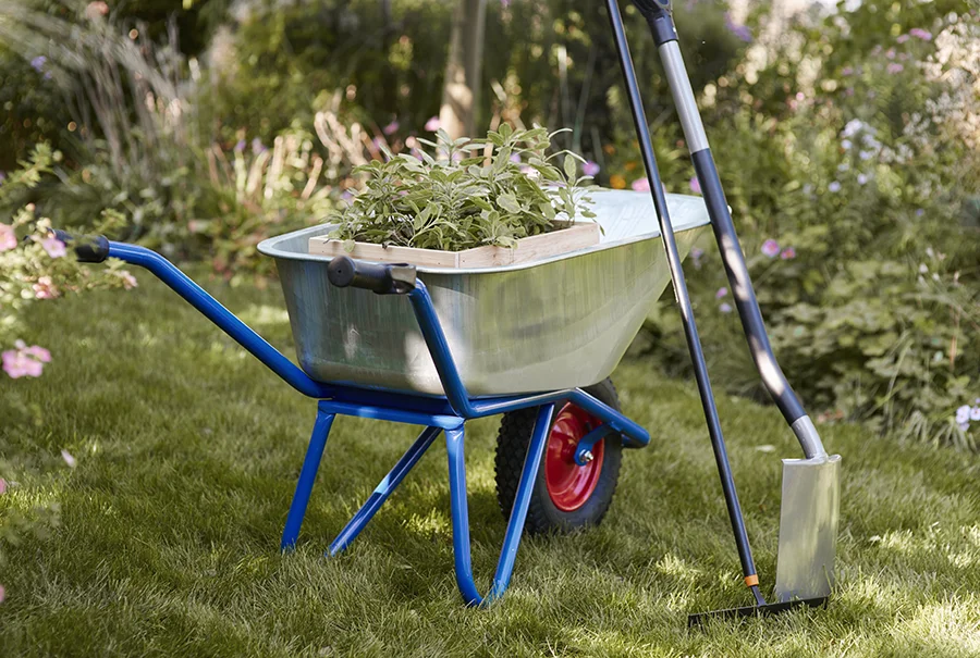 Gardening Services Cornelian Bay