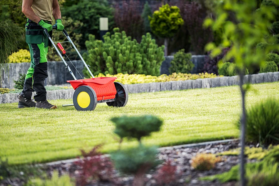 Gardening Services Cornelian Bay Lawn Seeding
