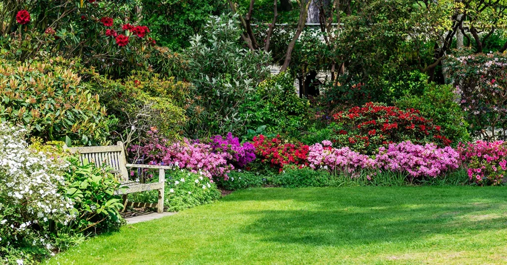 Gardening Services Rosny