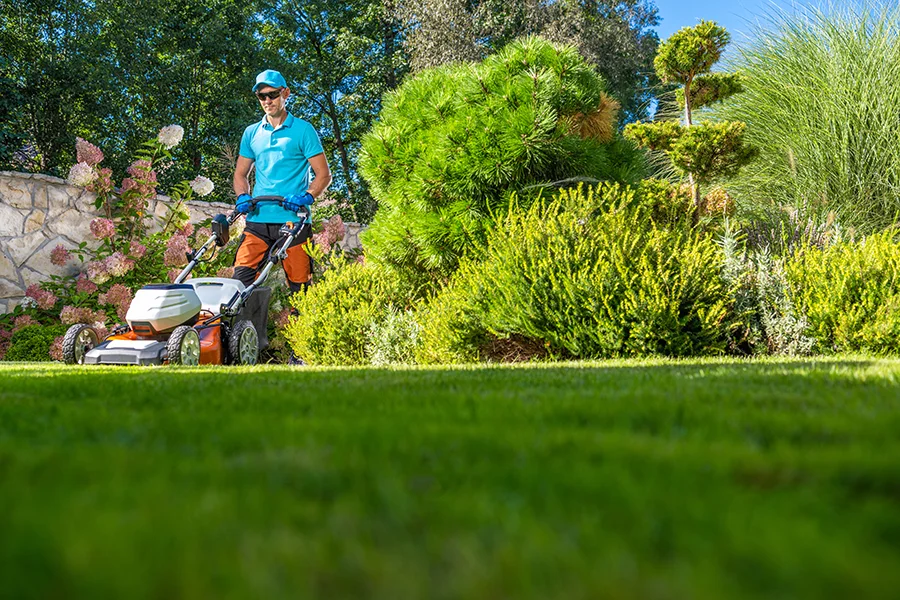 Gardening Services Lenah Valley