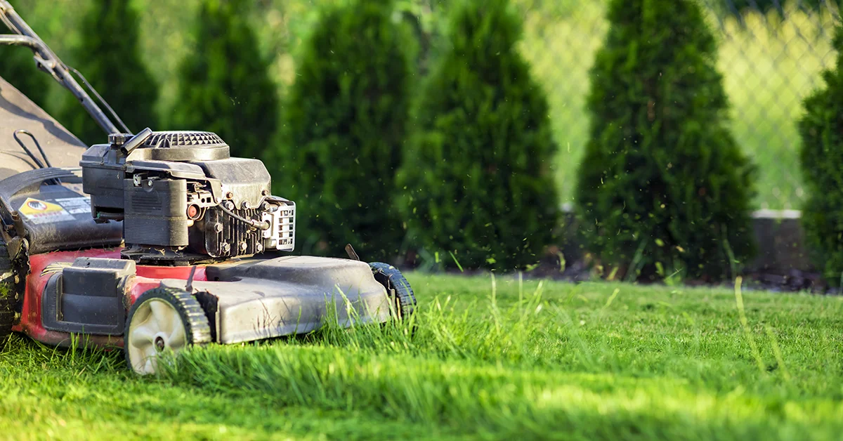 Gardening Services