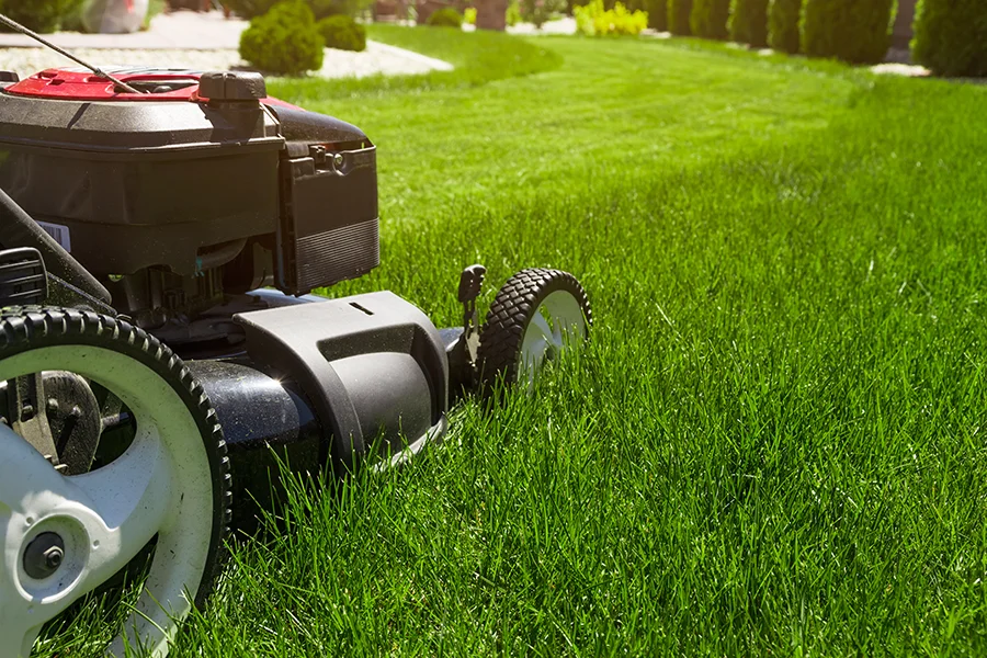 Gardening Services Rosny