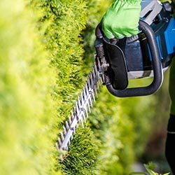 Hedge-Trimming-Hobart Hobart Lawn Mowing & Garden Maintenance