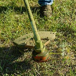 Whipper Snipper Hobart